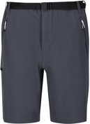 Regatta Xert III Heren Short Diverse Kleuren