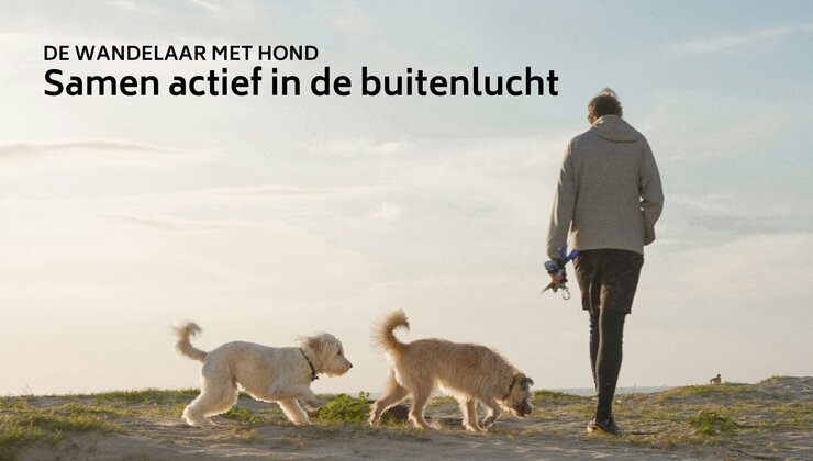 Wandelen met de hond? Dit is dé uitrusting voor hondenwandelaars